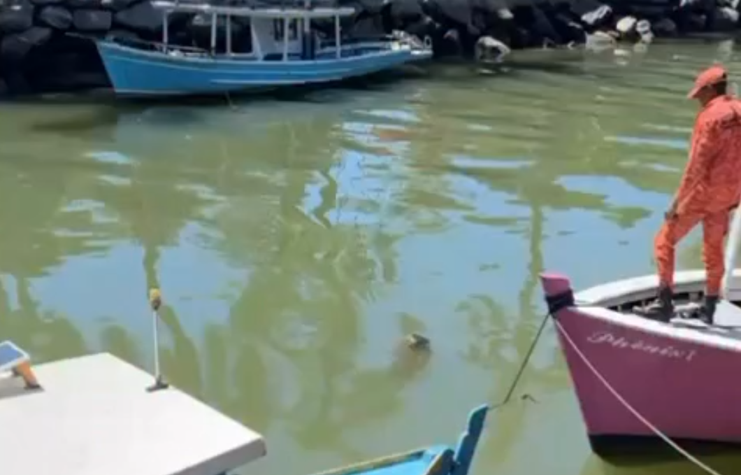 Corpo de Homem é Encontrado em Rio de Paraty; Polícia Inicia Investigação