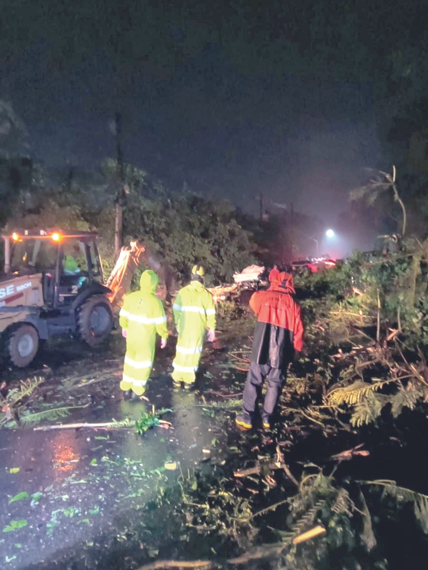 Árvore cai sobre veículo e mata três pessoas na Rio-Santos