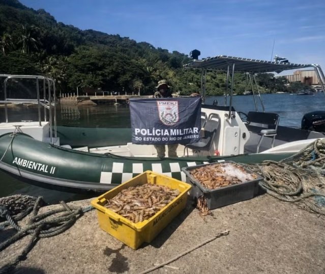 PM apreende 100 kg de camarão pescados ilegalmente  em Angra dos Reis