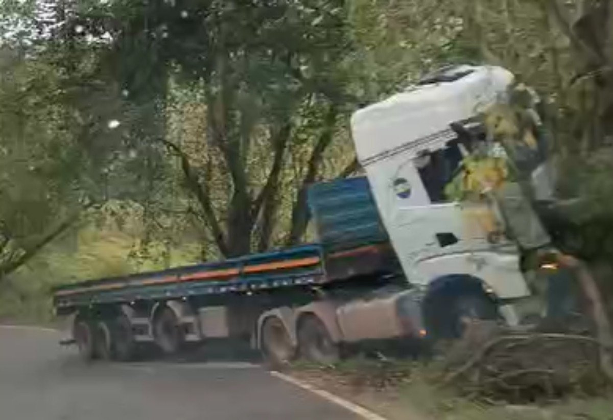 Caminhão desgovernado sai da pista e atinge árvore em Rio Claro