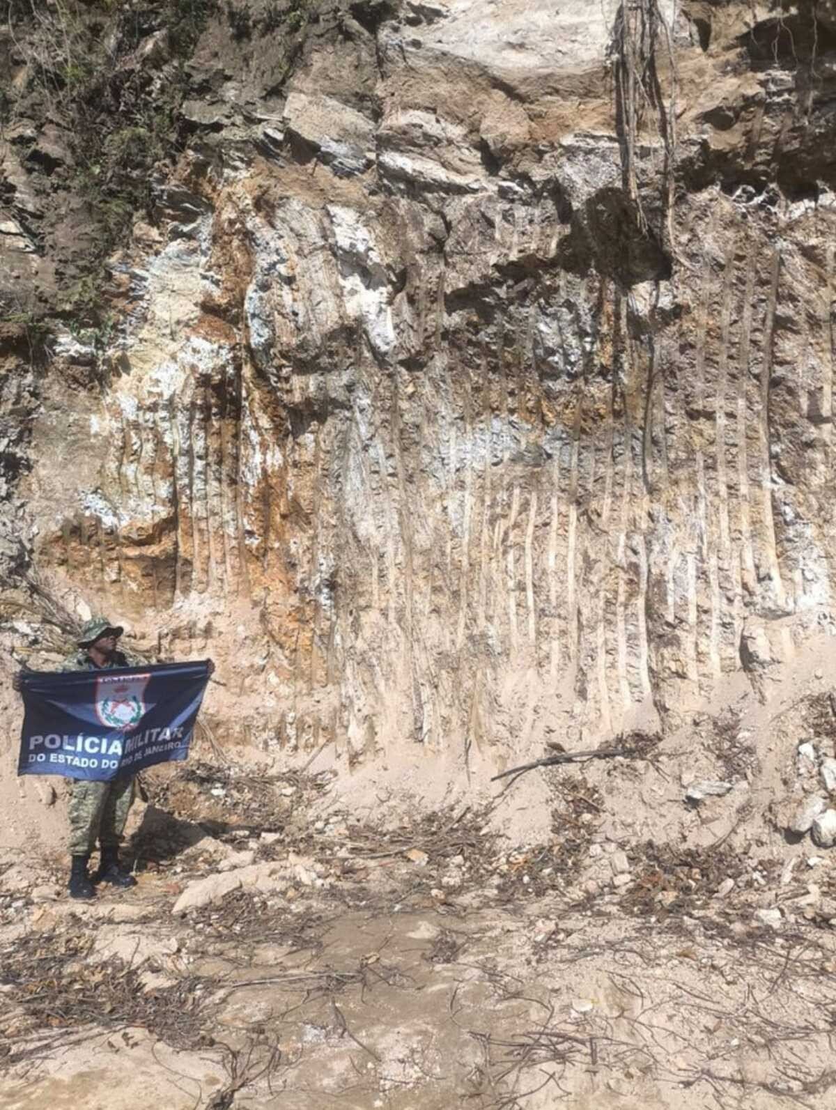 Polícia identifica extração ilegal em área de preservação em Paraty