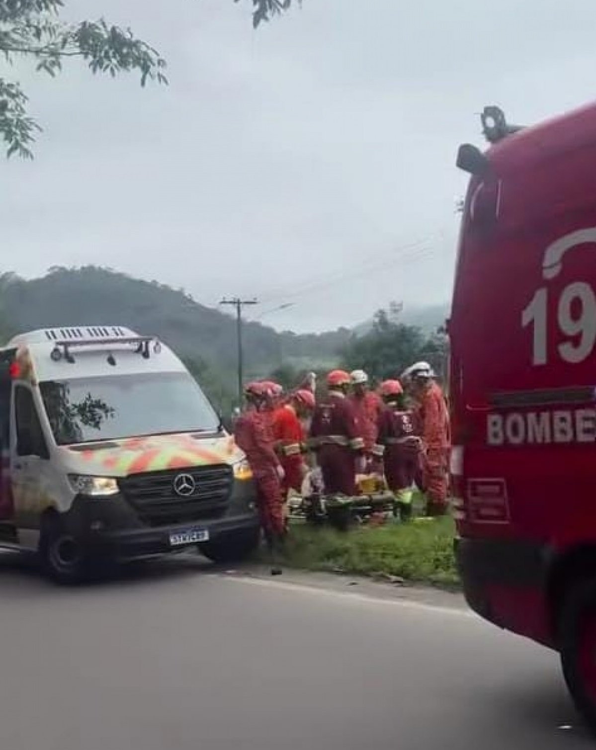 Idoso morre após carro bater em árvore na Rio-Santos, em Angra