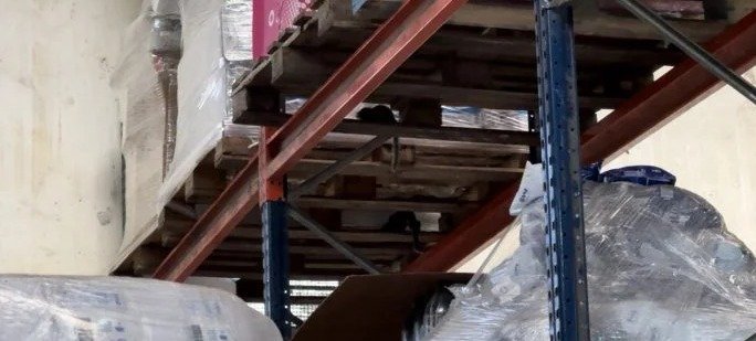 Foto: divulgação (rato no depósito)