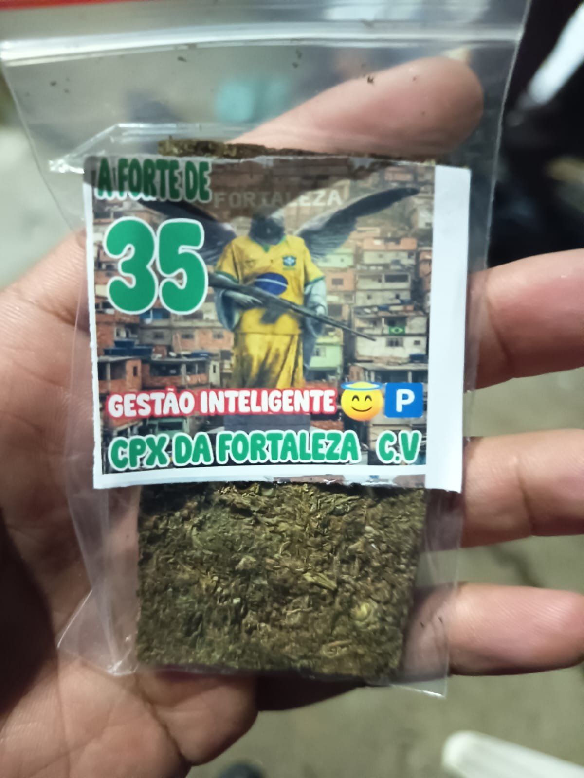 Foto: divulgação